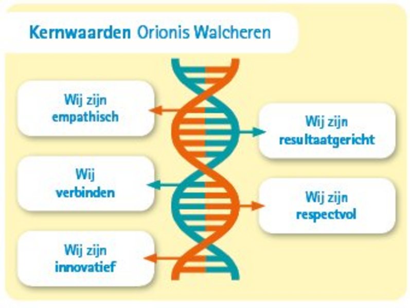 Afbeelding met kernwaarden van Orionis Walcheren