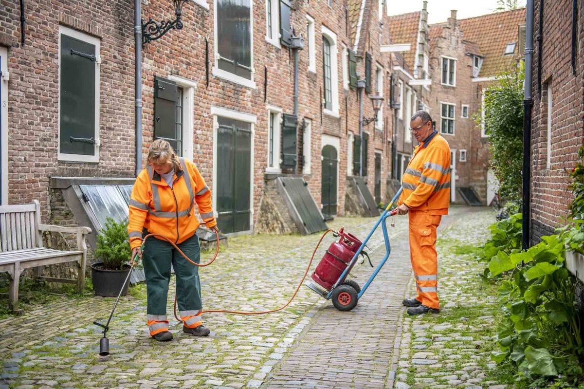 Medewerkers van Orionis Walcheren verwijderen onkruid in de oude binnenstad